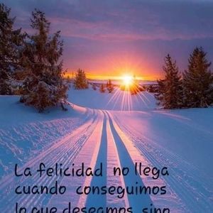 Meet your Posher, Perla